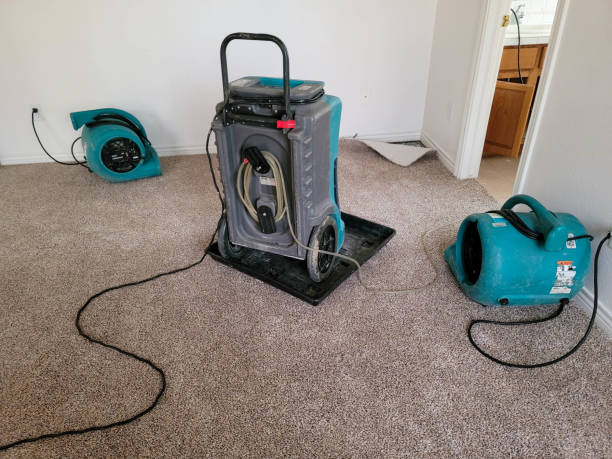 Best Emergency water damage restoration  in Mansfield, AR