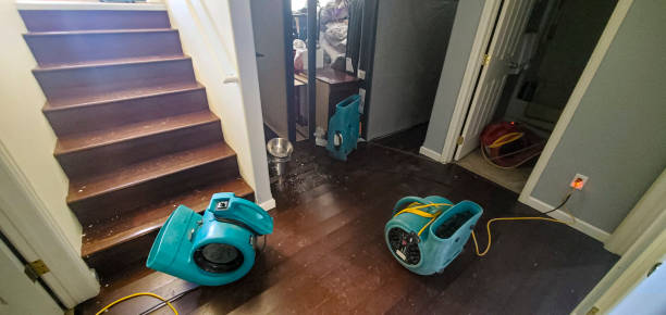 Best Water damage restoration near me  in Mansfield, AR
