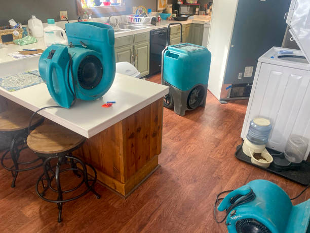Best 24/7 water damage repair  in Mansfield, AR