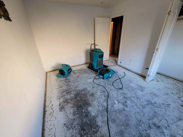 Best Ceiling water damage repair  in Mansfield, AR