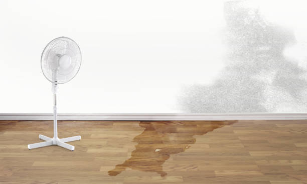 Sewage cleanup and water damage restoration in Mansfield, AR