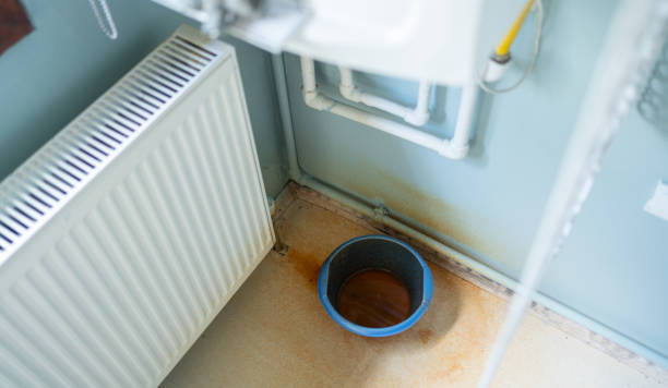 Best Water damage cleanup near me  in Mansfield, AR