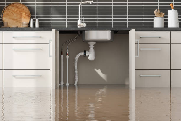 Best Local water damage restoration  in Mansfield, AR