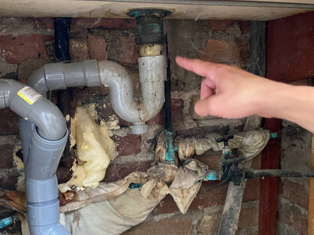 Best Water damage restoration experts  in Mansfield, AR