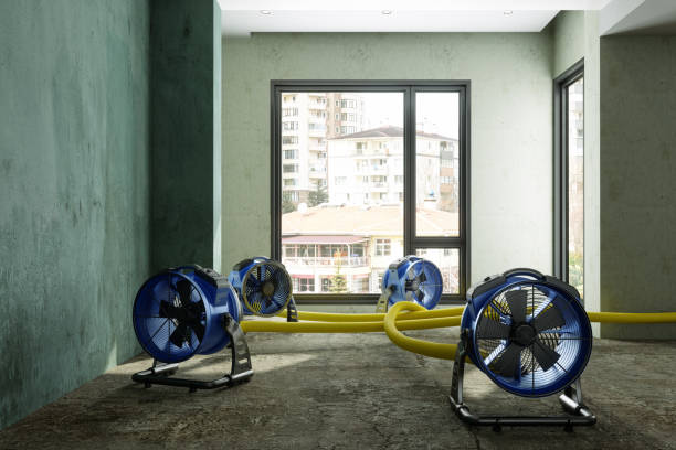 Best Water damage restoration insurance claims  in Mansfield, AR
